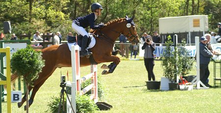 Springreiten Donier de Lux